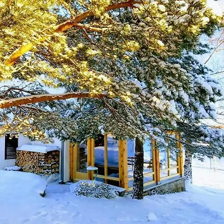 Villa House Zmajevac Zlatibor