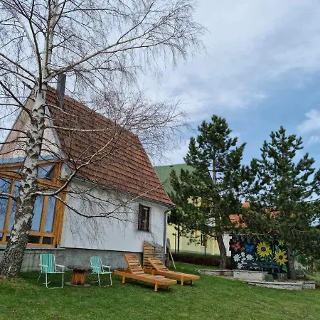 Villa House Zmajevac Zlatibor